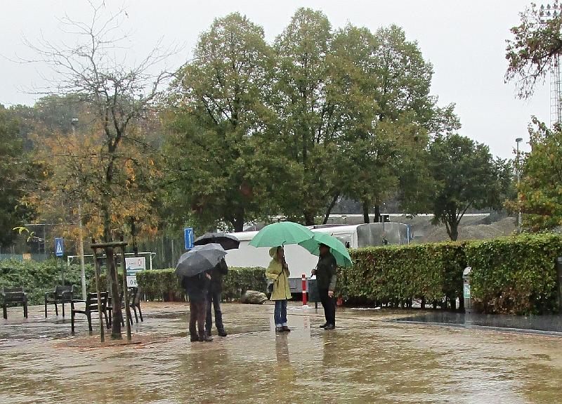 Herfstwandeling (4).JPG